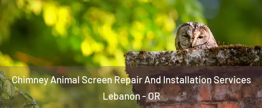  Chimney Animal Screen Repair And Installation Services Lebanon - OR