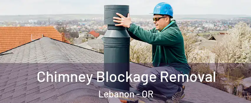  Chimney Blockage Removal Lebanon - OR