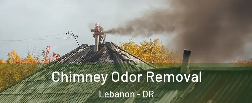  Chimney Odor Removal Lebanon - OR
