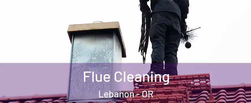  Flue Cleaning Lebanon - OR