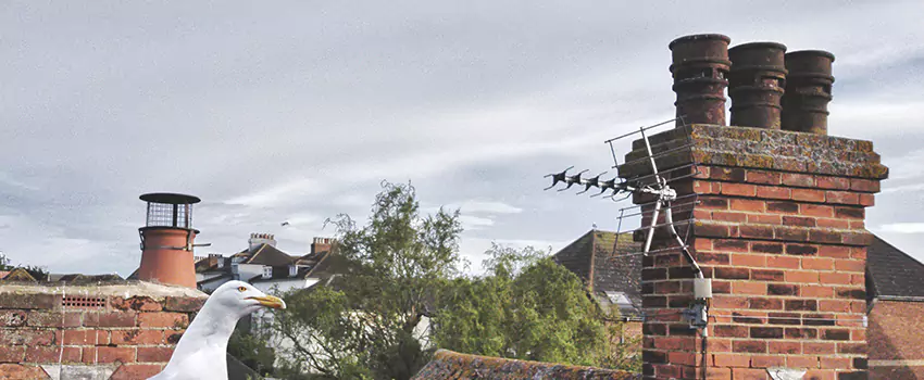 Chimney Cleaning And Restoration in Lebanon, Oregon