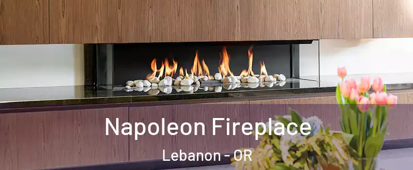  Napoleon Fireplace Lebanon - OR
